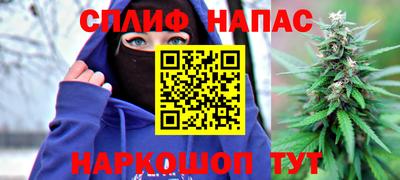 спиды Аша