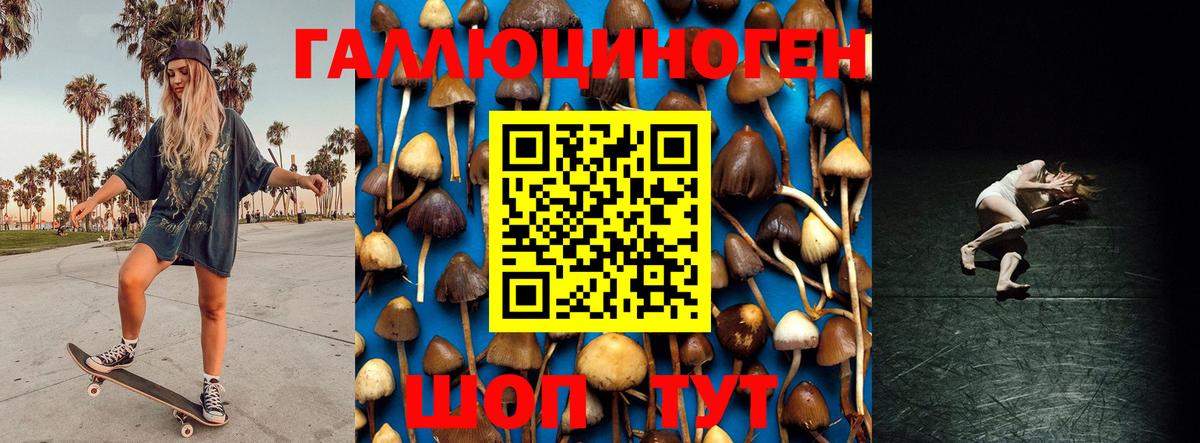 Самара  Галлюциногенные грибы Psilocybine cubensis  Вход с VPN  Галлюциногенные грибы ЛСД 
